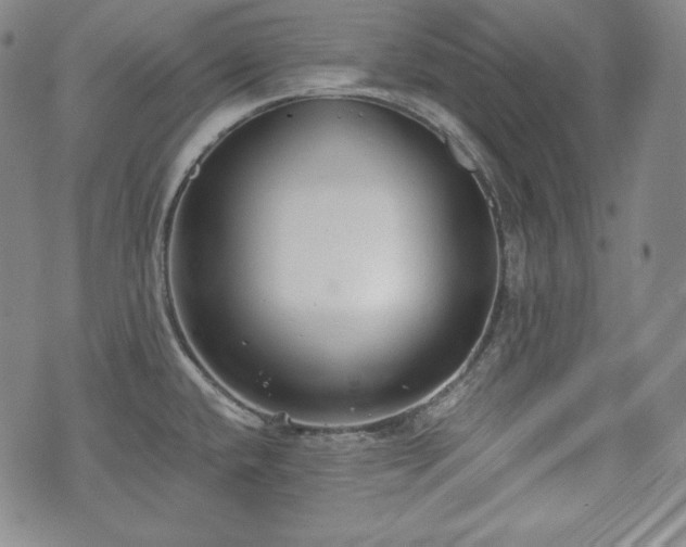 X0000071961432200607141423