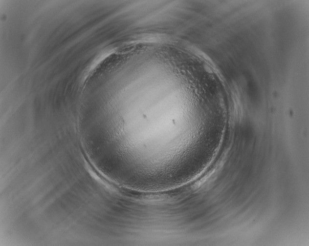 X0000071961433200607141423