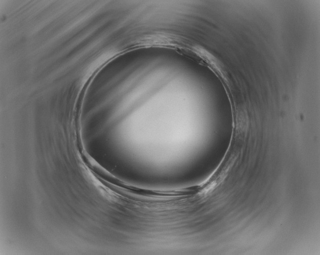 X0000071961434200607141423