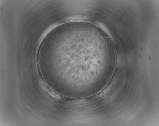 X0000071961435200607141423