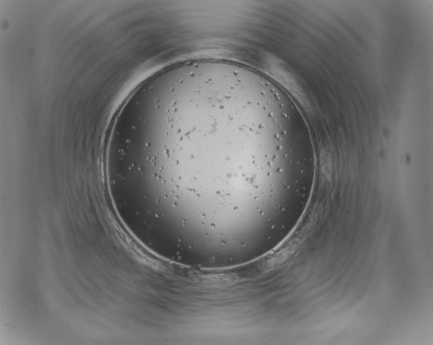 X0000071961436200607141423