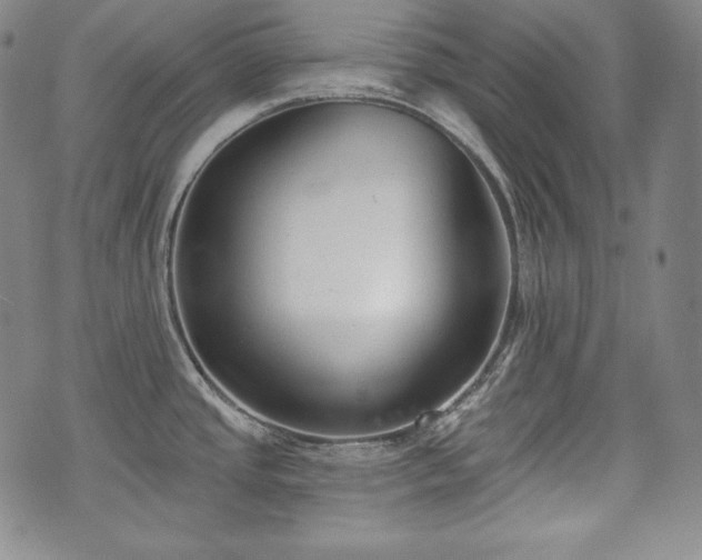 X0000071961437200607141423