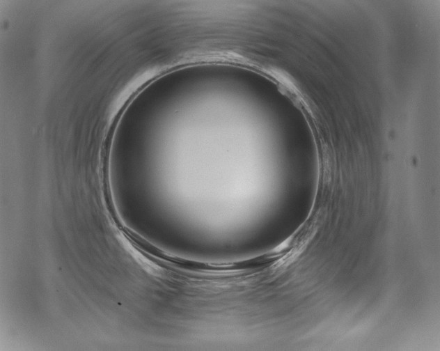 X0000071961438200607141423