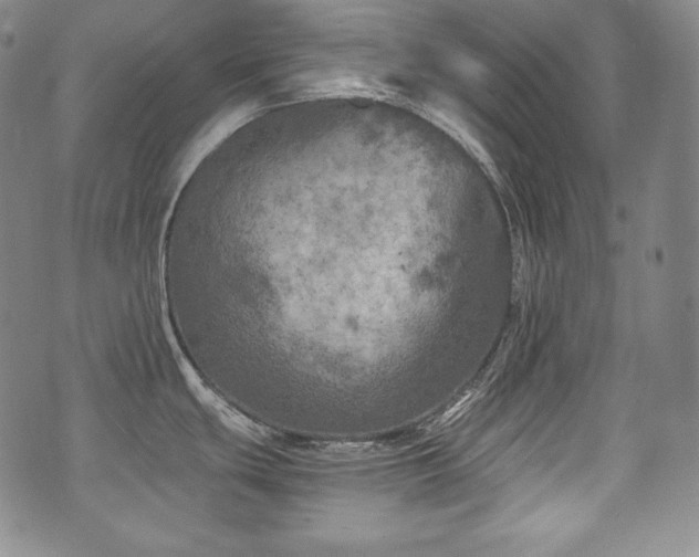 X0000071961439200607141423