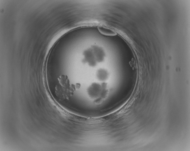 X0000071961440200607141423