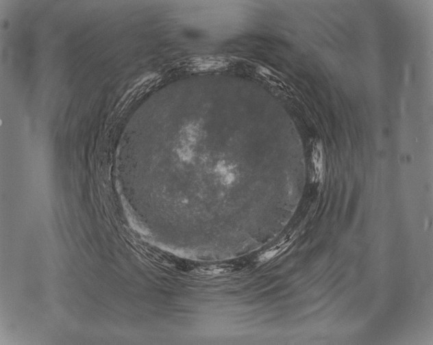 X0000071961441200607141422