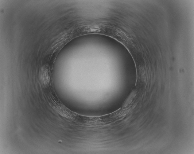 X0000071961442200607141422