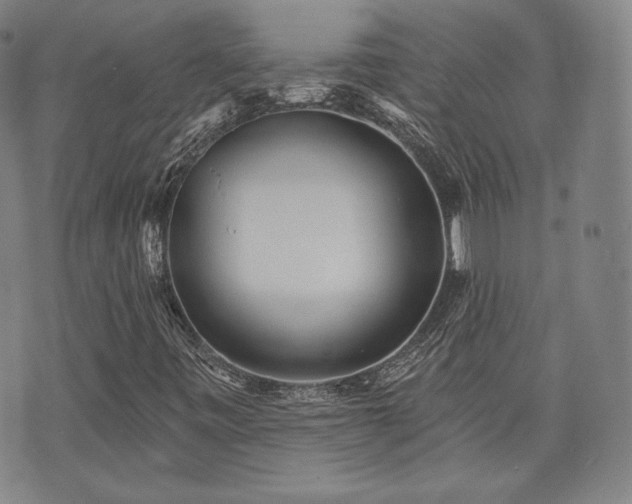 X0000071961443200607141422