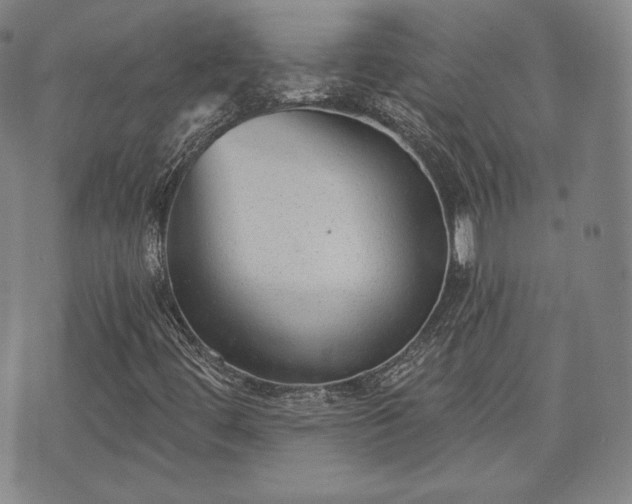 X0000071961444200607141422