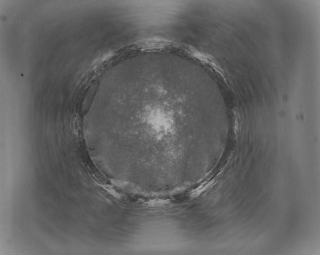 X0000071961445200607141422