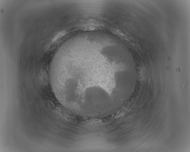 X0000071961446200607141422