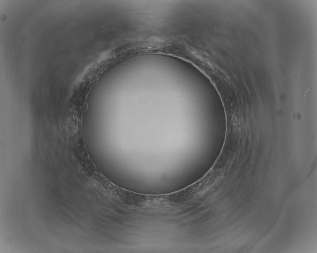 X0000071961447200607141422