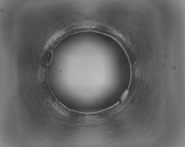 X0000071961448200607141422