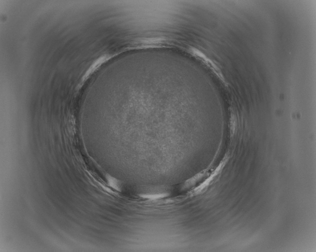 X0000071961449200607141422