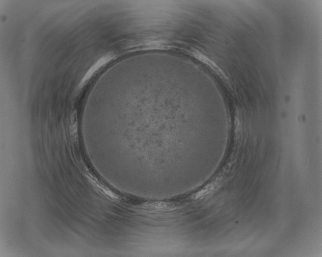 X0000071961450200607141422