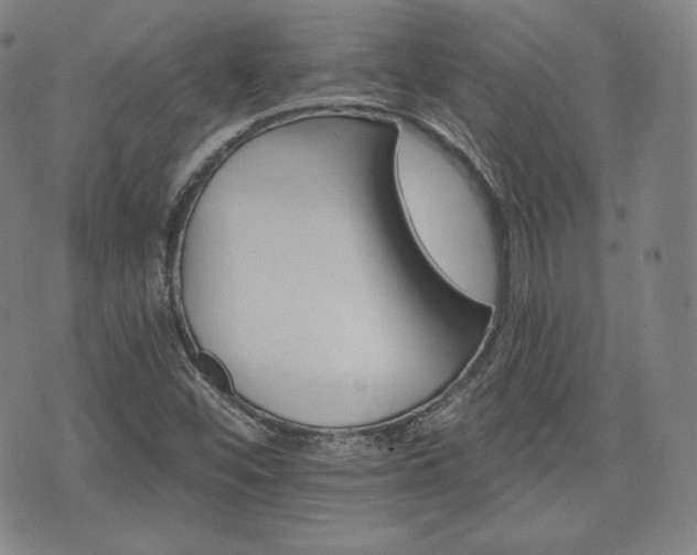 X0000071961452200607141422