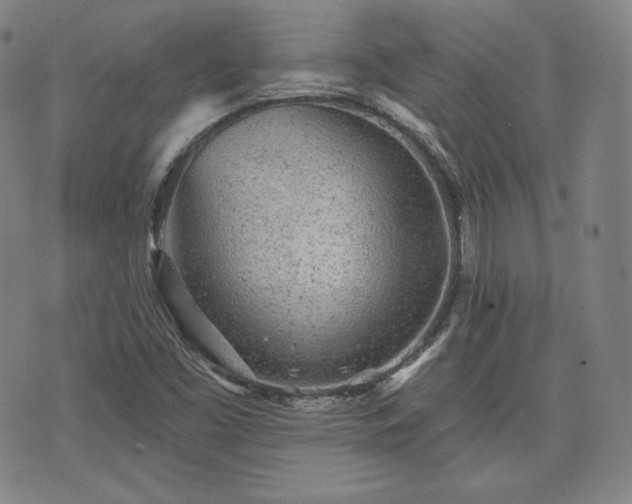 X0000071961453200607141422