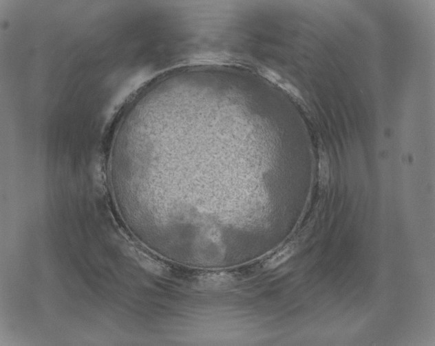 X0000071961454200607141422