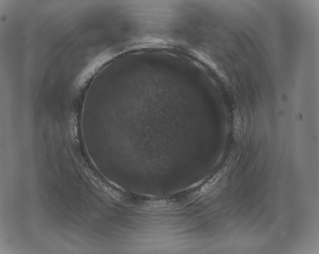 X0000071961455200607141422