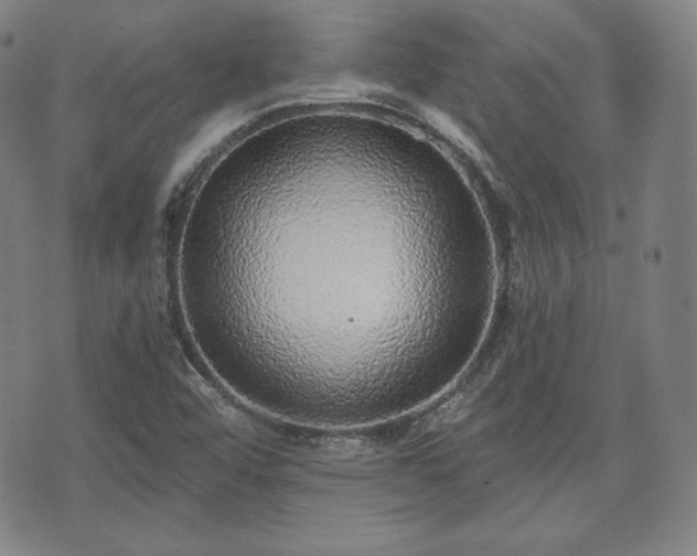 X0000071961456200607141422