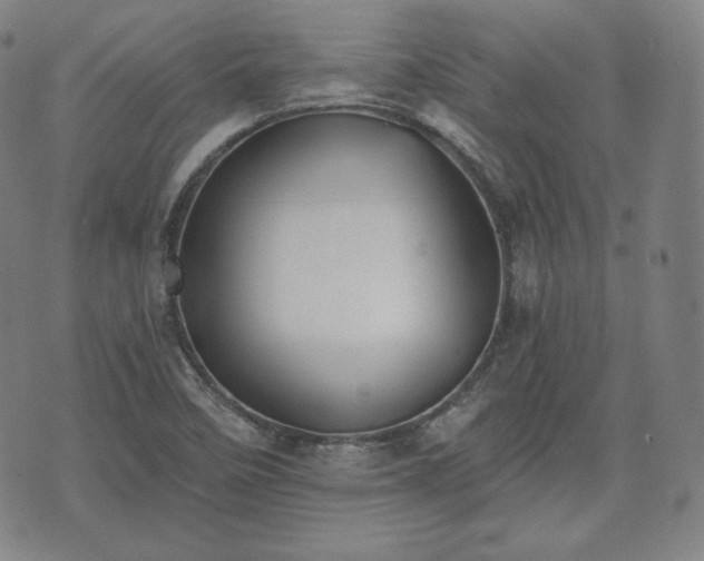 X0000071961458200607141422