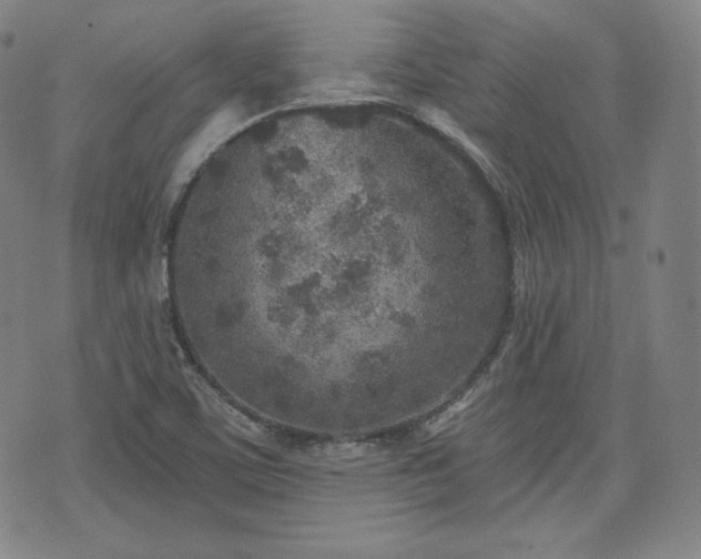 X0000071961459200607141422