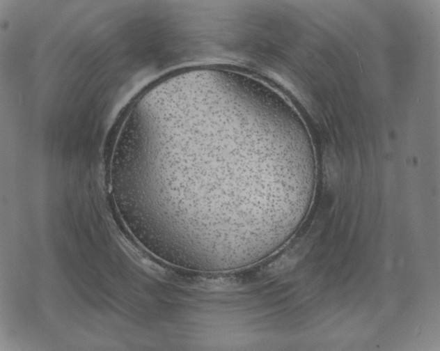 X0000071961460200607141422