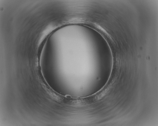 X0000071961461200607141422