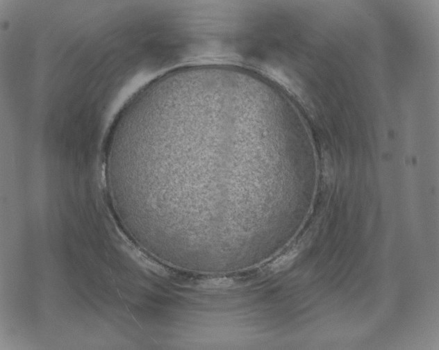 X0000071961462200607141422