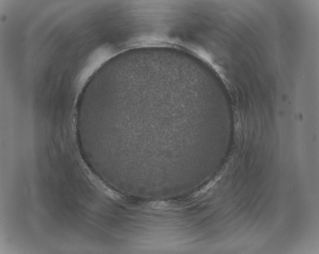 X0000071961463200607141422