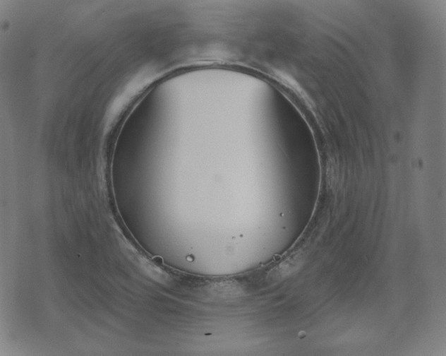 X0000071961464200607141422