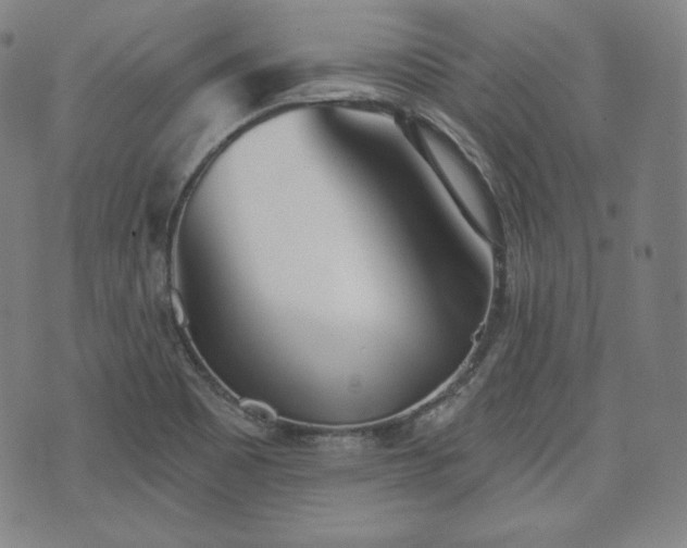 X0000071961465200607141422