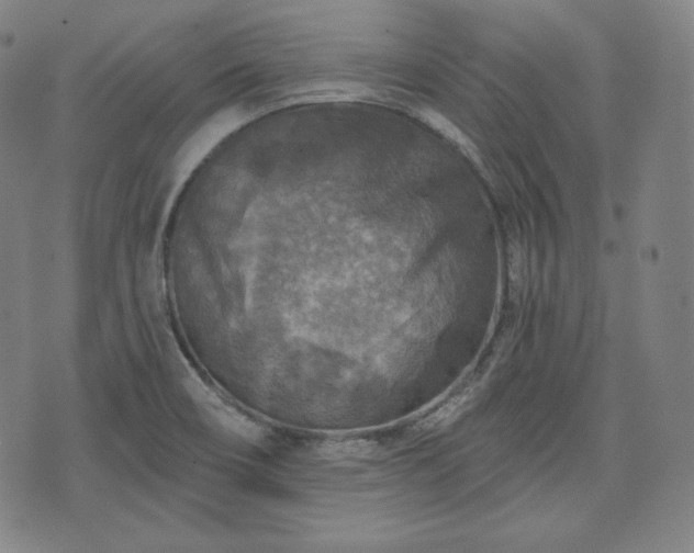 X0000071961466200607141422