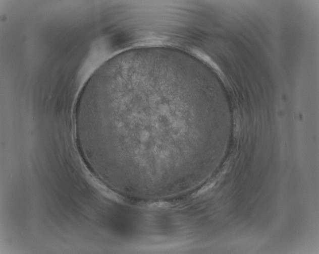 X0000071961467200607141422