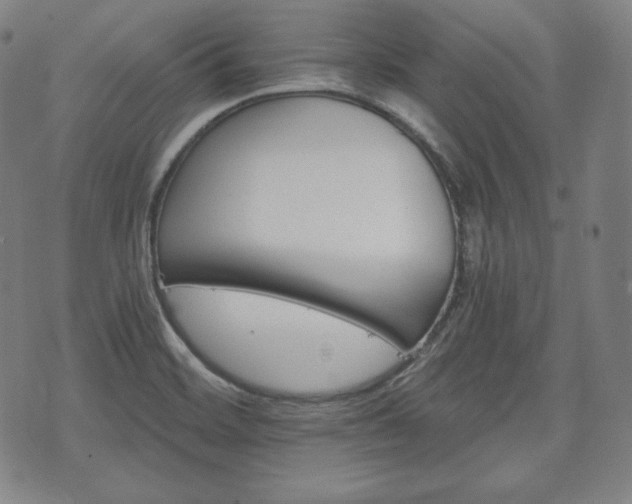 X0000071961468200607141422