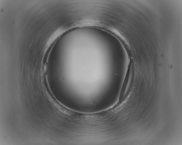 X0000071961469200607141422