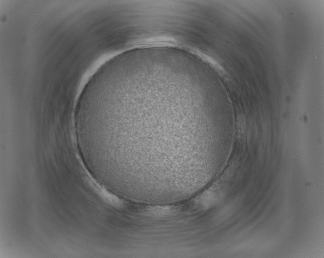 X0000071961470200607141422