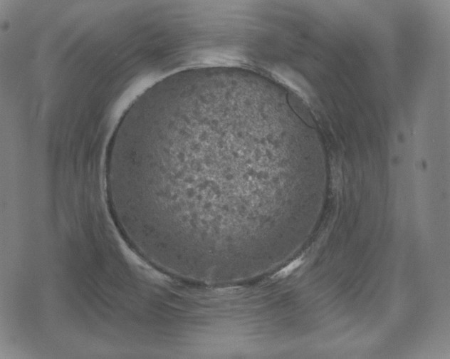 X0000071961471200607141422