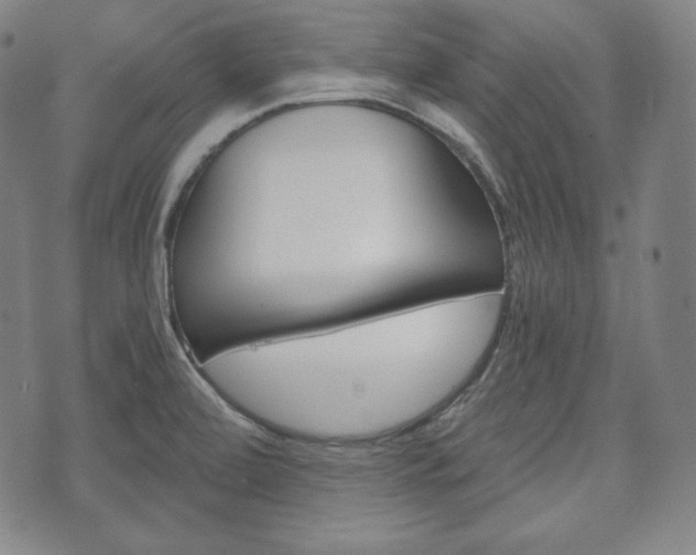 X0000071961472200607141422