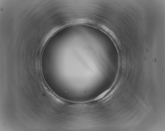 X0000071961473200607141422