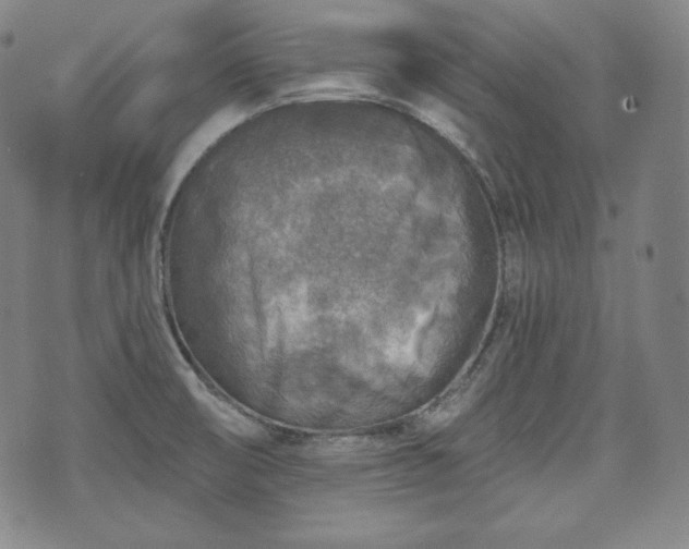 X0000071961474200607141422