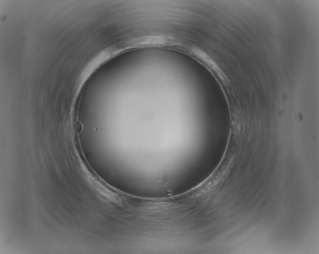 X0000071961475200607141422