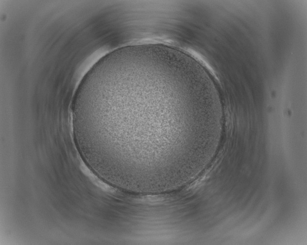 X0000071961476200607141422