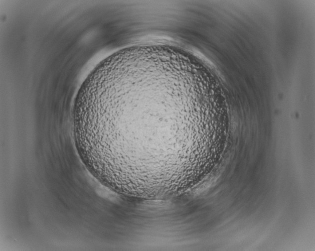 X0000071961478200607141422