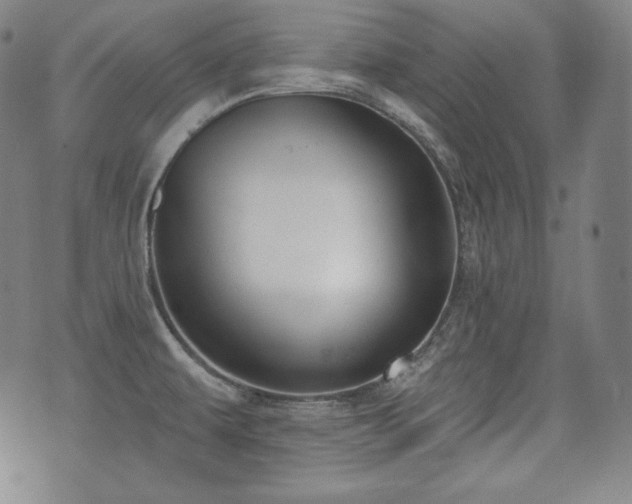 X0000071961479200607141422