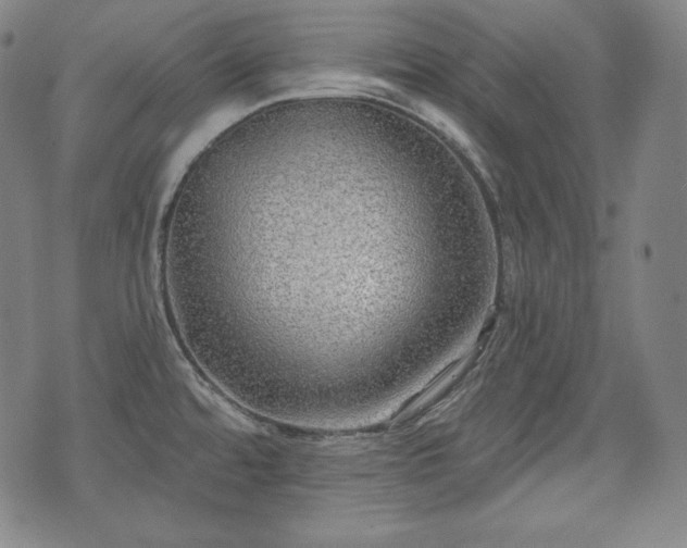 X0000071961480200607141422