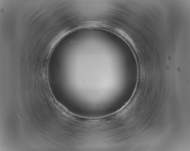 X0000071961481200607141422