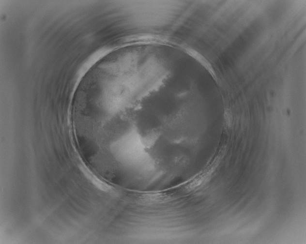 X0000071961482200607141422