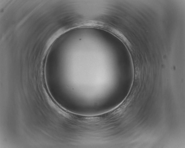 X0000071961483200607141422