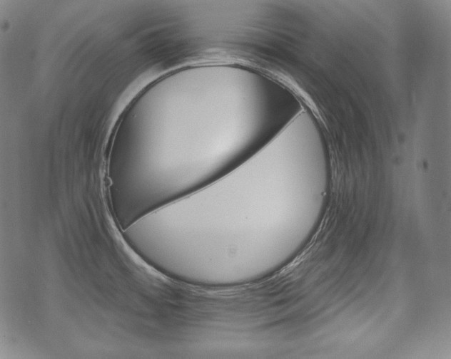 X0000071961484200607141422